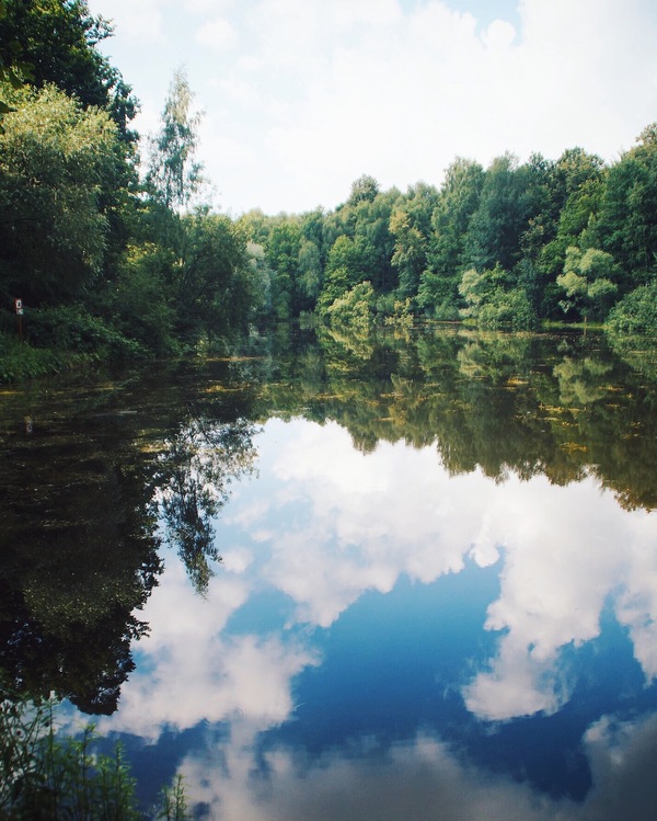 In Izmailovsky - My, Nature, Lake, Izmailovsky park, Walk, Landscape, Forest, Silence