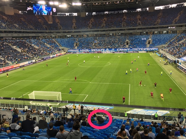 That feeling when the roof is closed, but it's still raining - My, , Gazprom arena, Roof, Corruption