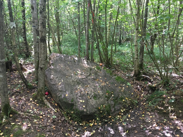 Ride to pagan stone - My, Paganism, blue stone, Longpost