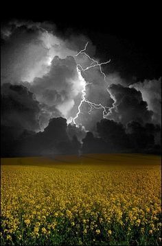 The beauty of the elements - Lightning, Thunderstorm, Element, A selection