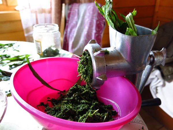 Дача это | Пикабу