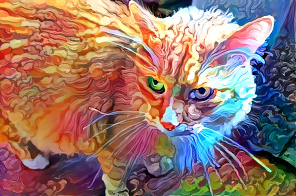 My cat, DDG has become even more beautiful - Deepdream, cat, My