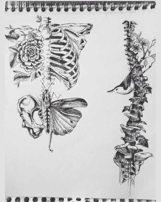 Entertaining anatomy (a selection of sketches) - Tattoo, Longpost, Sketch, Skeleton, Anatomy, Not mine, Tattoo Lovers League