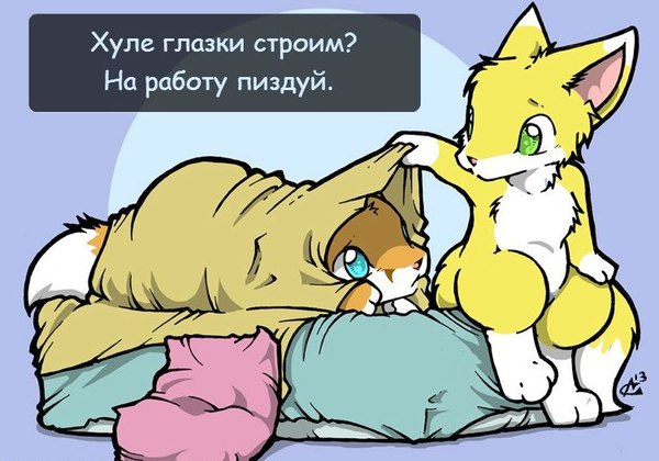 And so every morning - Comics, Dream, Morning, Fox