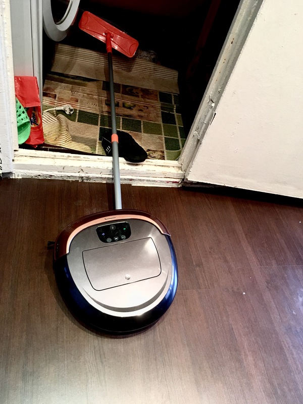 CAT VS VACUUM CLEANER 1:0 - My, Catomafia, Robot Vacuum Cleaner, cat, The photo