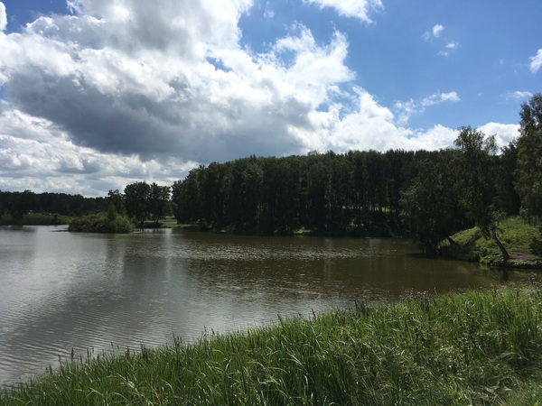 Chistoman in Berdsk - My, Chistoman, Berdsk, Nature, Pond, Greenery, Garbage, How to live, How to say so and do, Longpost