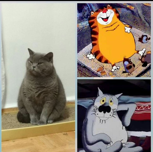  ,       ..