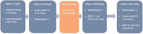 Study: Drinking alcohol improves memory - Scientists, Alcohol, , Memory, Vodka, The science