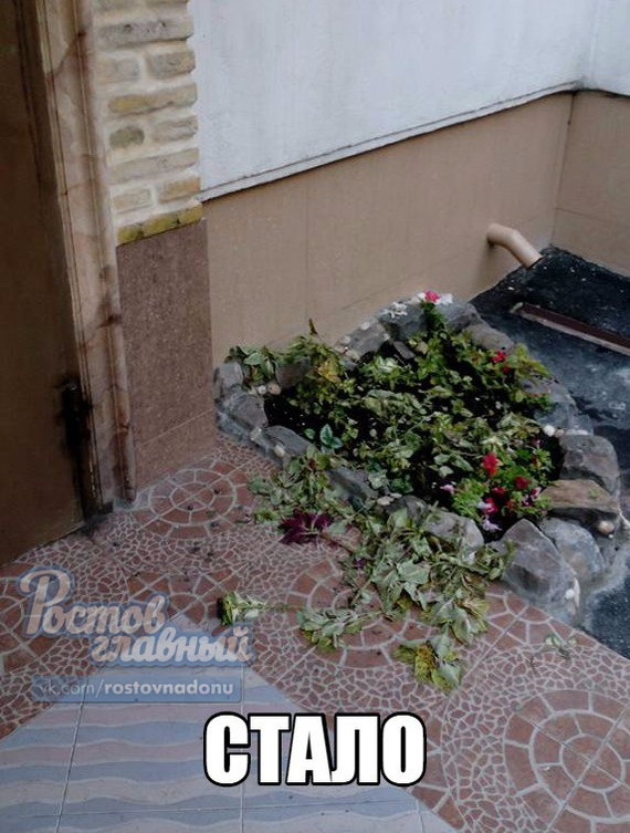 Do a good deed and move to a safe distance - Rostov-on-Don, Interior, Entrance, Flower bed, Longpost