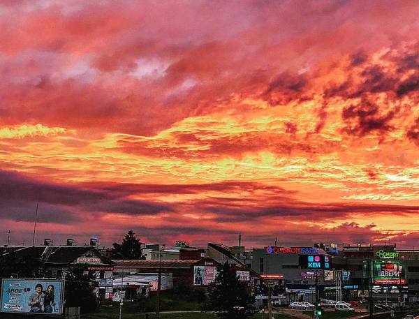 �����������