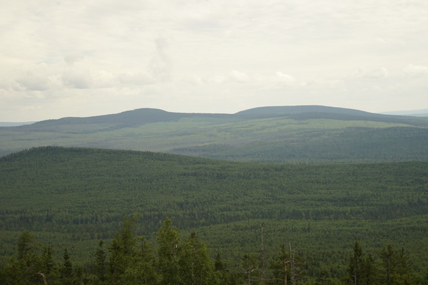 Visimsky Reserve - My, , Reserve, Nature, Travels, Ural, Sverdlovsk region, Tourism, Longpost, Reserves and sanctuaries