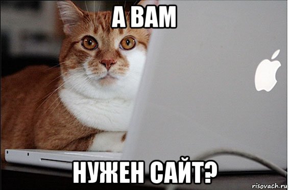создание сайта на халяву создание сайта на халяву