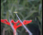 Нервотрепка