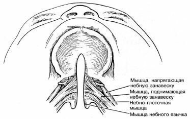 What happens from birth... - My, Cleft, Operation, Children