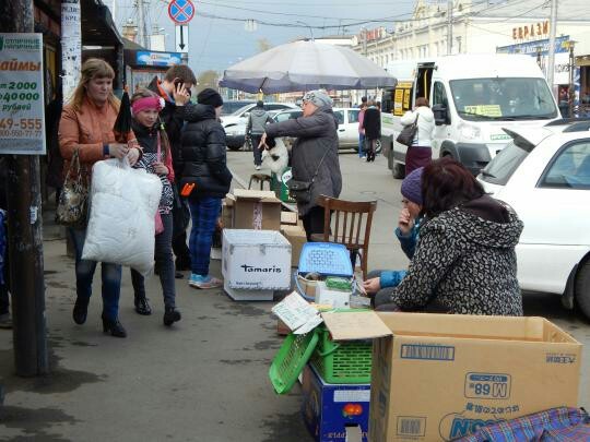 Cruelty to animals Irkutsk - My, Irkutsk, Animal protection, Indifference, Help, Good league, Longpost, Female Killers