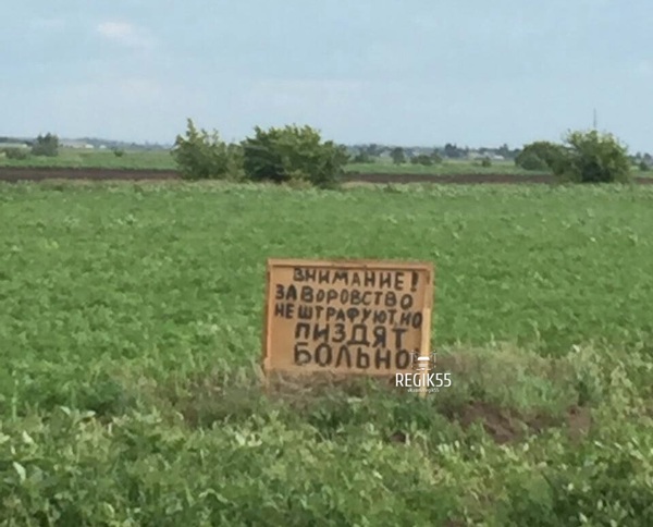 Beet field in the Omsk region - Omsk, Punishment, Theft, Warning, Сельское хозяйство, Theft