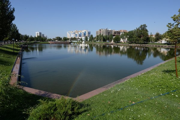 Лебедь умер, да здравствуют лебеди. Добро в чистом виде.