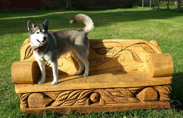 Testing out a new park bench - Dog, Benches, The park