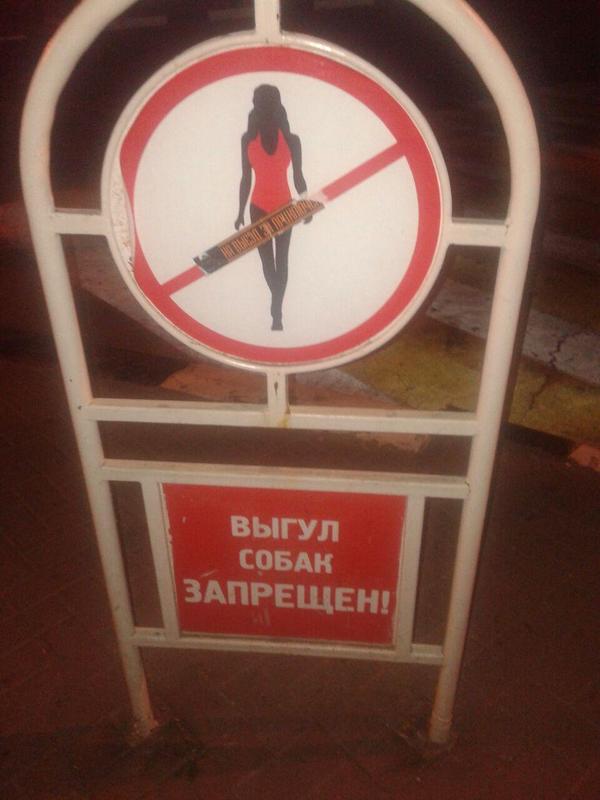 In Gelendzhik - Dog, Dog walking is prohibited, Dogs and people, Female, Women