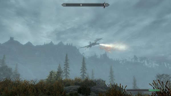 Too many questions and too few answers... - My, The Elder Scrolls V: Skyrim, Screenshot, Games