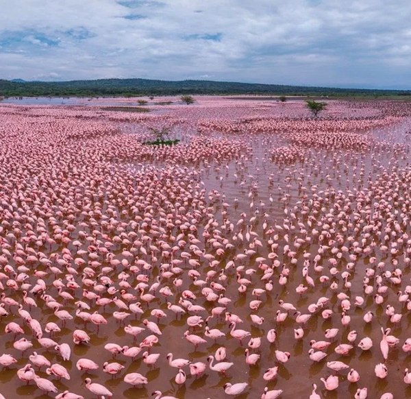 Lake Bogoria, Kenya - Amazing, 