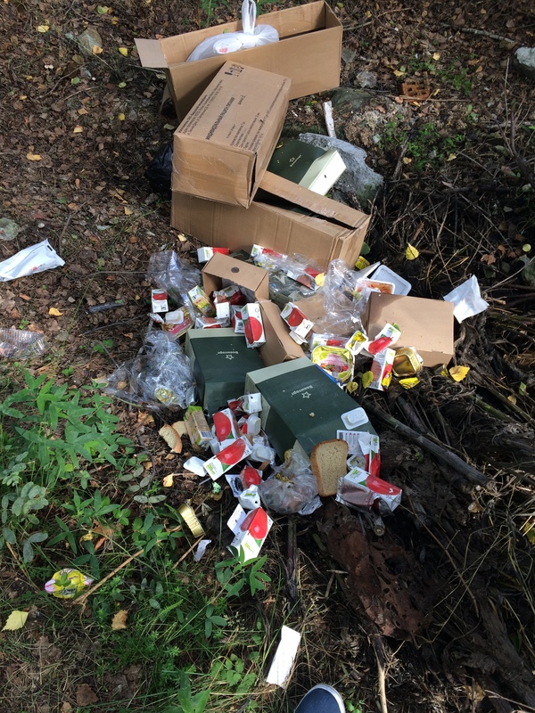 Форменные свиньи