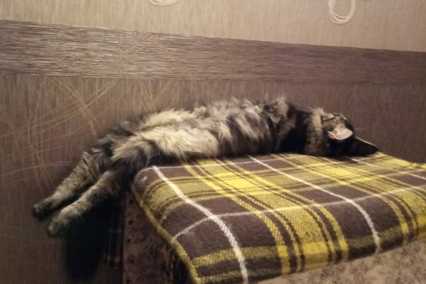 Мне удобно.)