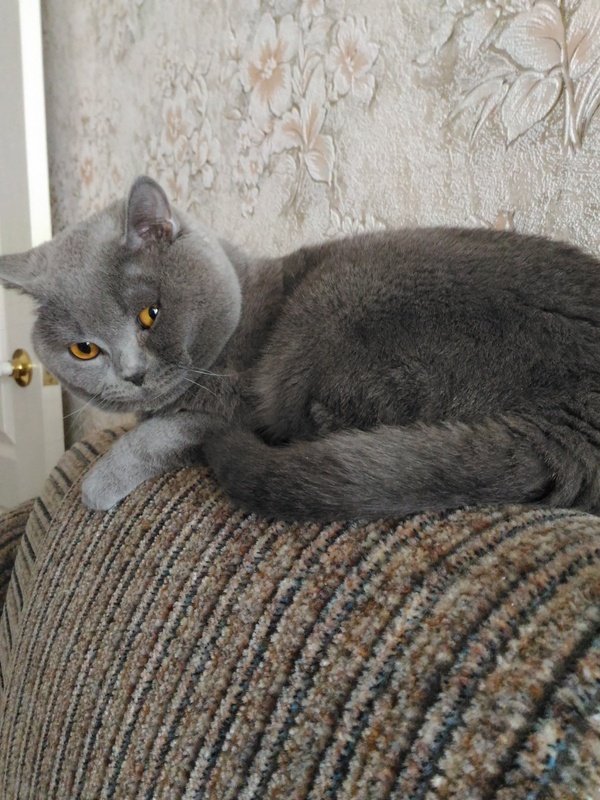 ��� ��� ������� 2