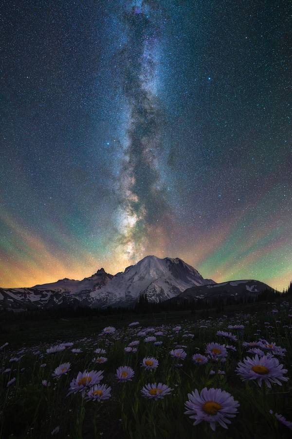 Night sky over Mount Rainier and field of wildflowers - The mountains, Rainier, Sky, Milky Way