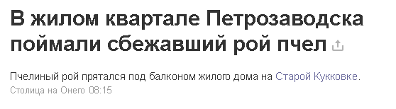 Омск, Саратов, ваш выход - Петрозаводск, Пчелы, Побег, Преступность, Пчелы-Интроверты, Новости