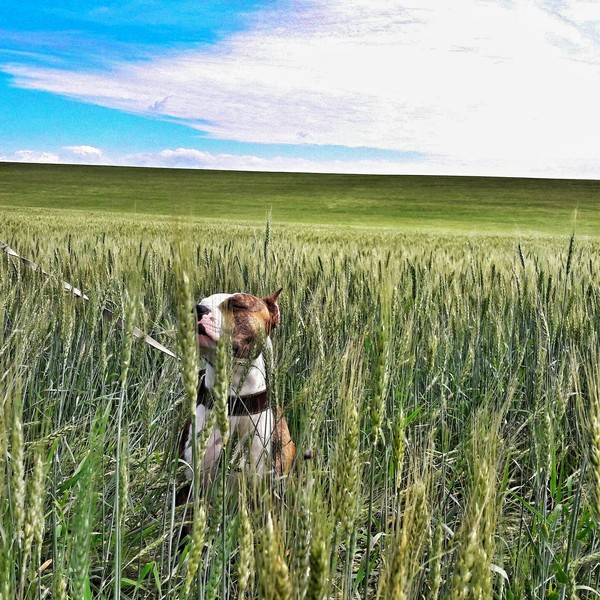 Чувствуешь? Летом пахнет