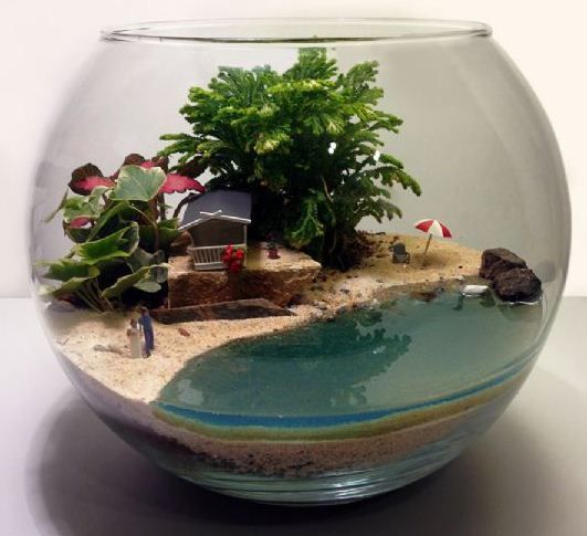 Earth behind glass - Diorama, , Decor, Small world, The photo, Longpost