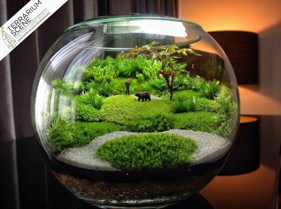 Earth behind glass - Diorama, , Decor, Small world, The photo, Longpost