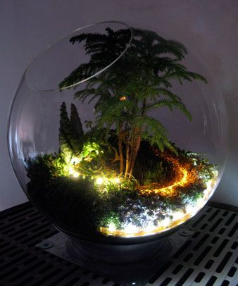 Earth behind glass - Diorama, , Decor, Small world, The photo, Longpost