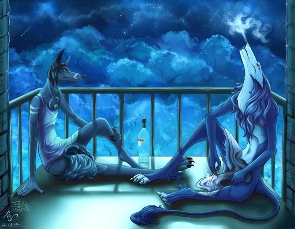 reflection - Night, Art, , , Furry