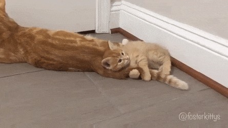    !