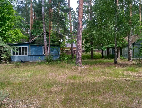 Abandoned resort. - My, Forest, Abandoned place, Abandoned, Thicket, Recreation center, Relaxation, Longpost