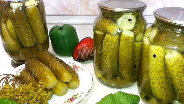Crispy Cucumbers for the winter. They try it and everyone asks for the recipe! Without sterilization. - My, Cucumbers, Salted cucumbers, , Blanks, Food, Pickling, Video, Longpost