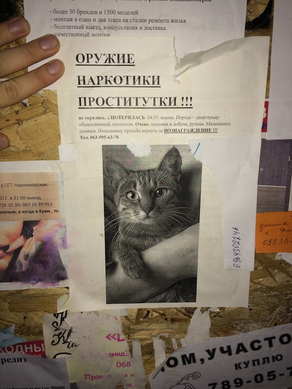И снова на остановке
