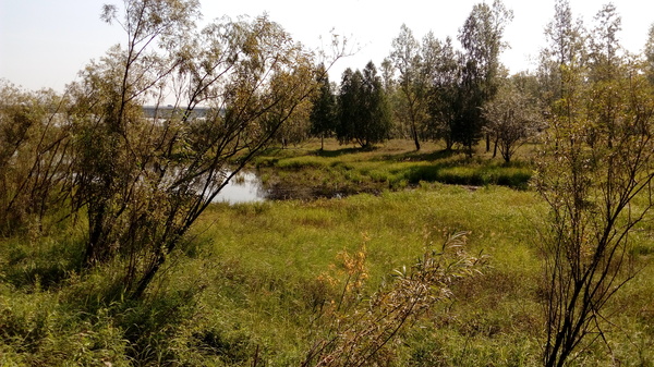 Красноярская природа