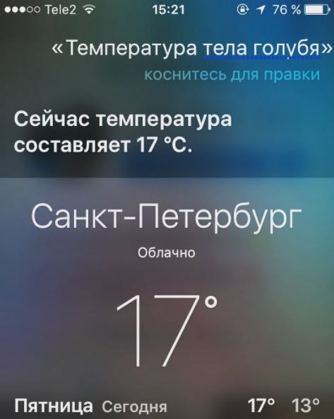 Here it is, the temperature of the dove - My, Weather, Saint Petersburg, Pigeon