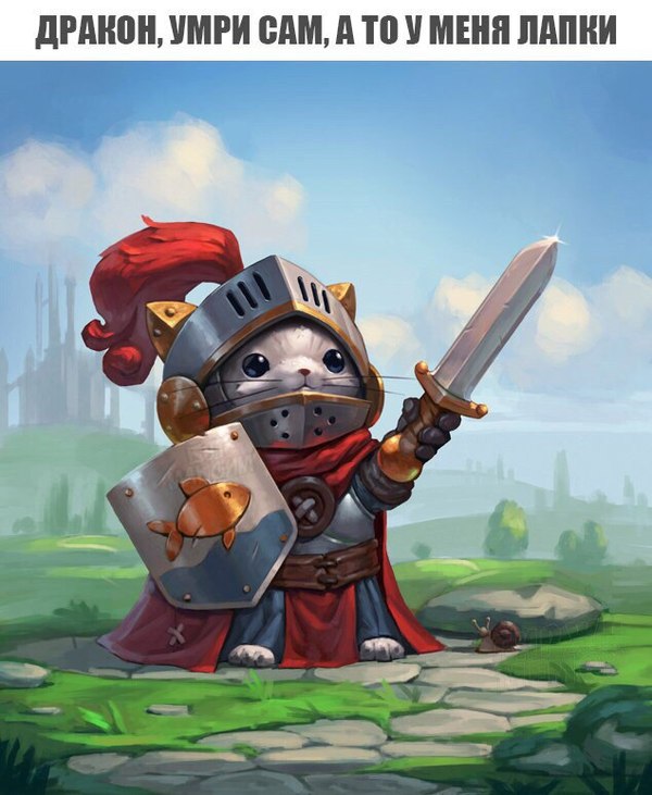 Fluffy knight - cat, Knight, Honestly stolen, Not mine, In contact with, Knights