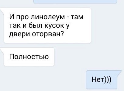 Когда ты уехал в отпуск, а кот решил начать ремонт