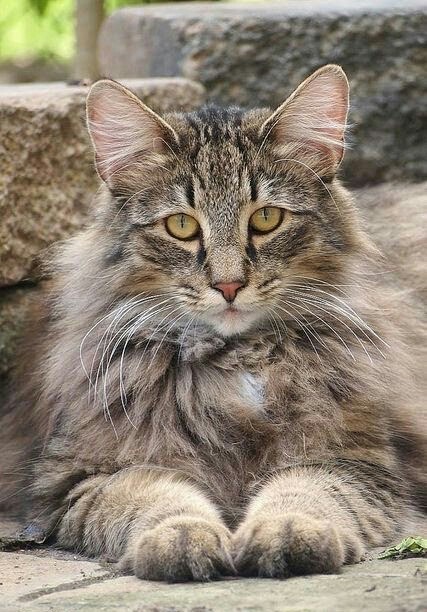 ���������.