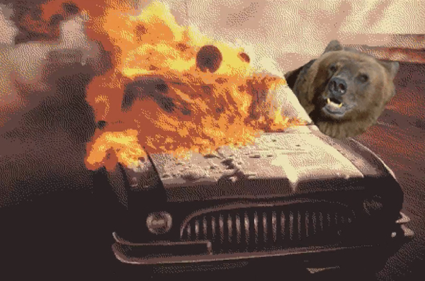 Bear steals SUV in Colorado - USA, Colorado, Auto, Car theft, The Bears, Subaru, Izvestia newspaper
