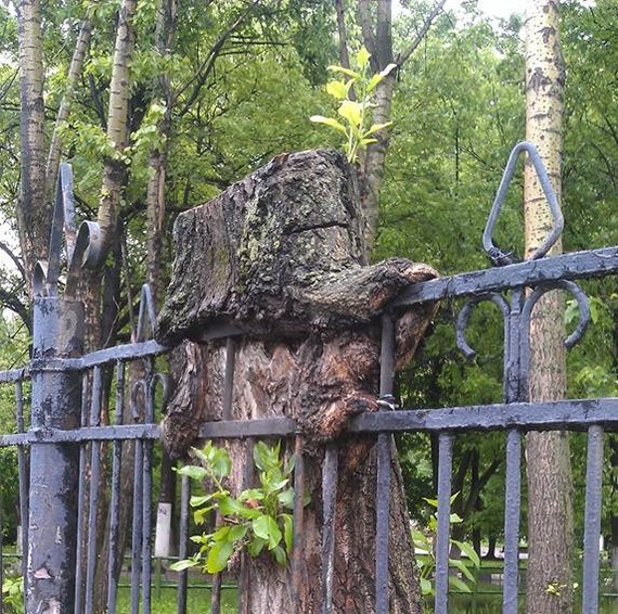 Жизнь - это борьба, никогда не сдавайся! - Моё, Жизнь, Никогда не сдавайся, Юмор, Маркетинг, Природа, Город, Выживание