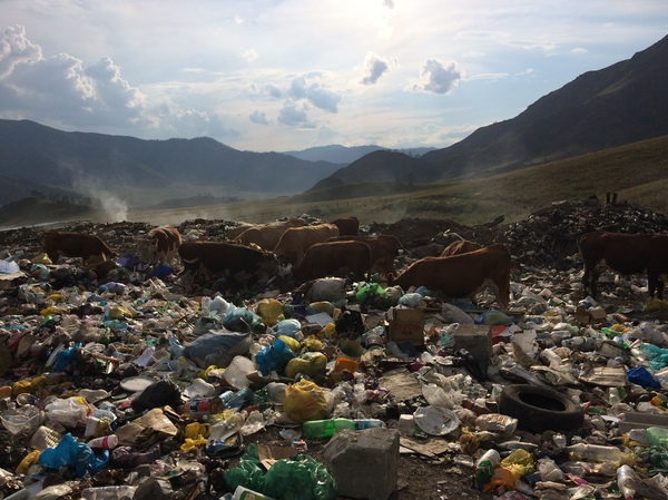 Красоты горного Алтая