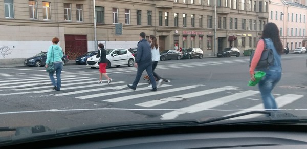 Fox on a leash) - My, Saint Petersburg, Fox