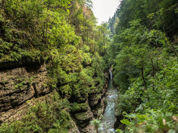 В Гуамке - красота. И местами - печаль... - Моё, Природа, Краснодарский Край, Гуамка, Вредители, Горы, Длиннопост