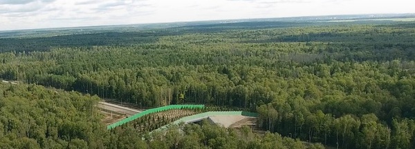 В Калужской области появился первый наземный экодук. - Жить в России, Экодук, Экология, Помощь, Помощь животным